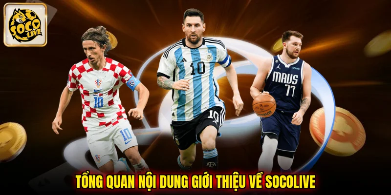 Tổng quan nội dung giới thiệu về SOCOLIVE