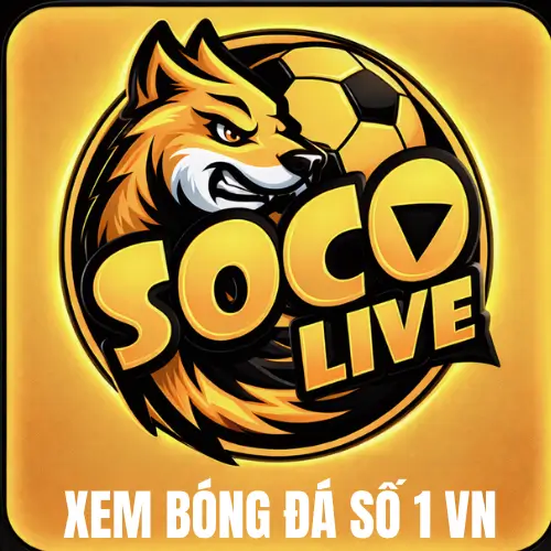 Xem bóng đá số 1 vn